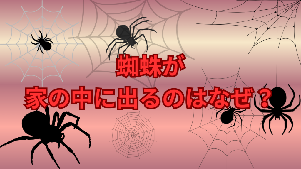 蜘蛛が家の中に出るのはなぜ？考えられる原因と対処法を解説