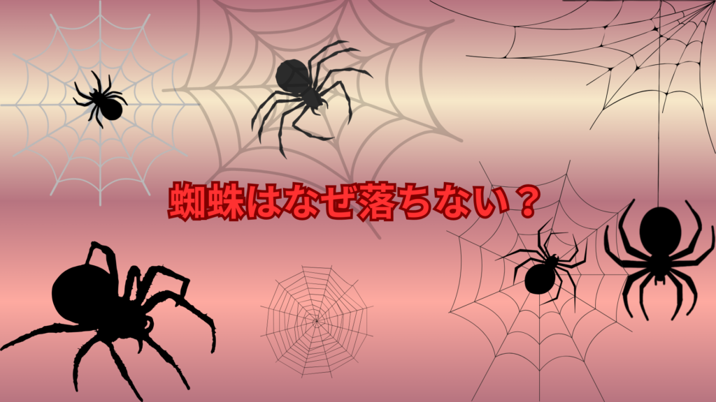 蜘蛛はなぜ落ちない？天井や壁を歩ける驚きの仕組みを解説