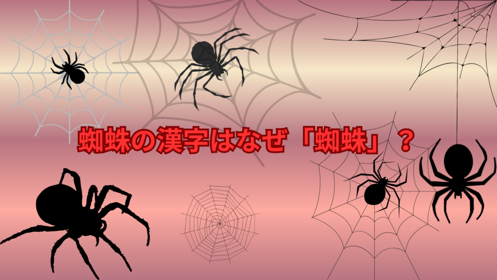 蜘蛛の漢字はなぜ「蜘蛛」？名前の由来と意味をわかりやすく解説
