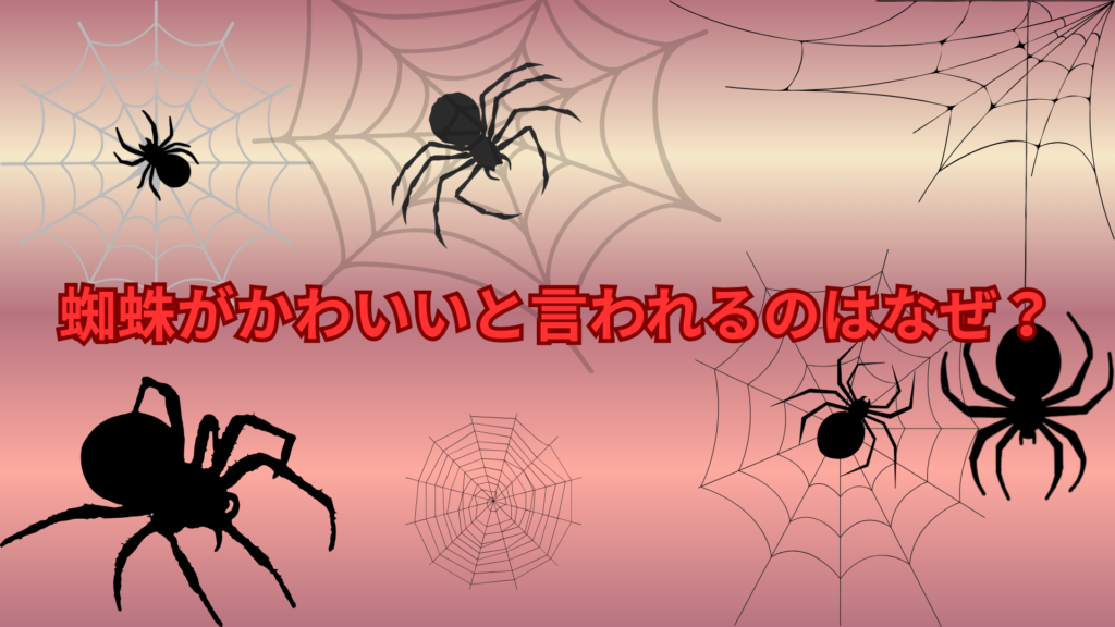 蜘蛛がかわいいと言われるのはなぜ？意外な魅力をわかりやすく解説