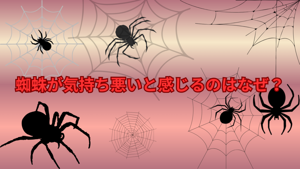 蜘蛛が気持ち悪いと感じるのはなぜ？多くの人が苦手に思う理由をわかりやすく解説