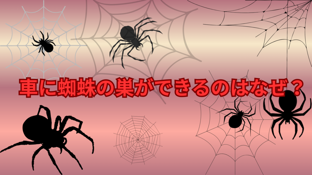 車に蜘蛛の巣ができるのはなぜ？蜘蛛が車を選ぶ理由とは