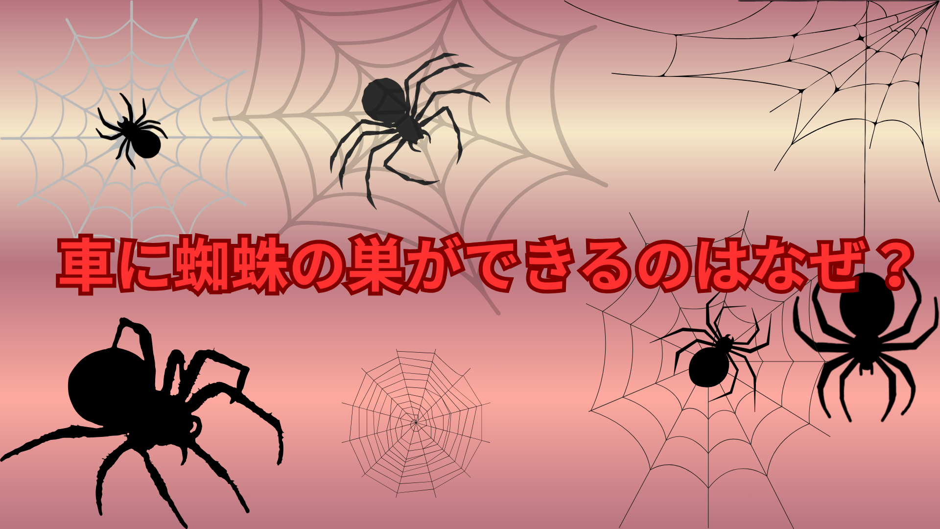 車に蜘蛛の巣ができるのはなぜ？蜘蛛が車を選ぶ理由とは