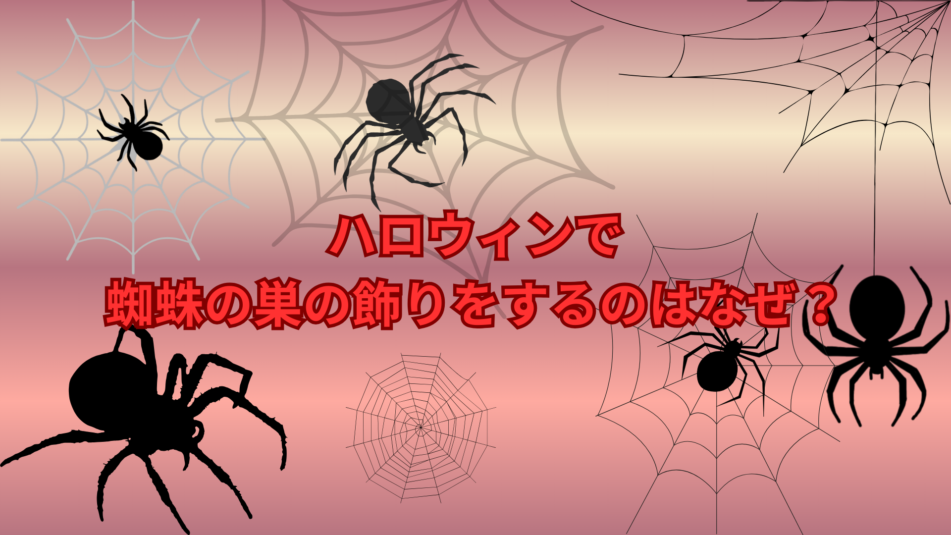 ハロウィンで蜘蛛の巣の飾りをするのはなぜ？意味や由来をわかりやすく解説