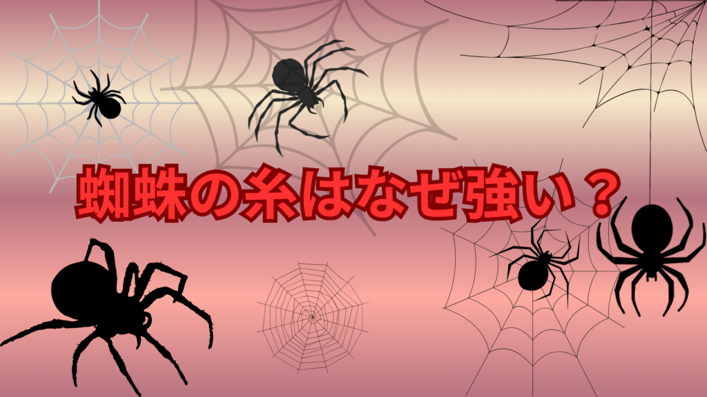 蜘蛛の糸はなぜ強い？鋼鉄より強いと言われる驚きの理由を解説