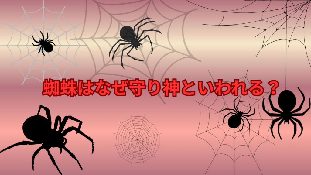 蜘蛛はなぜ守り神といわれる？昔から語られる理由をわかりやすく解説
