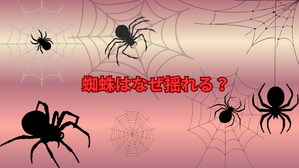 蜘蛛はなぜ揺れる？貧乏ゆすりのような動きの理由をわかりやすく解説