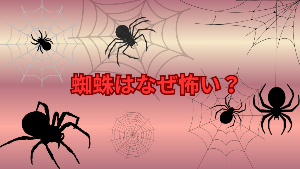 蜘蛛はなぜ怖い？多くの人が苦手と感じる理由をわかりやすく解説
