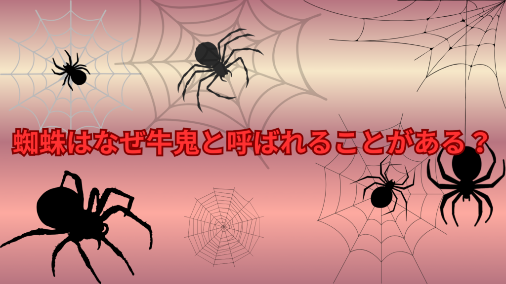 蜘蛛はなぜ牛鬼と呼ばれることがある？日本の妖怪との関係をわかりやすく解説