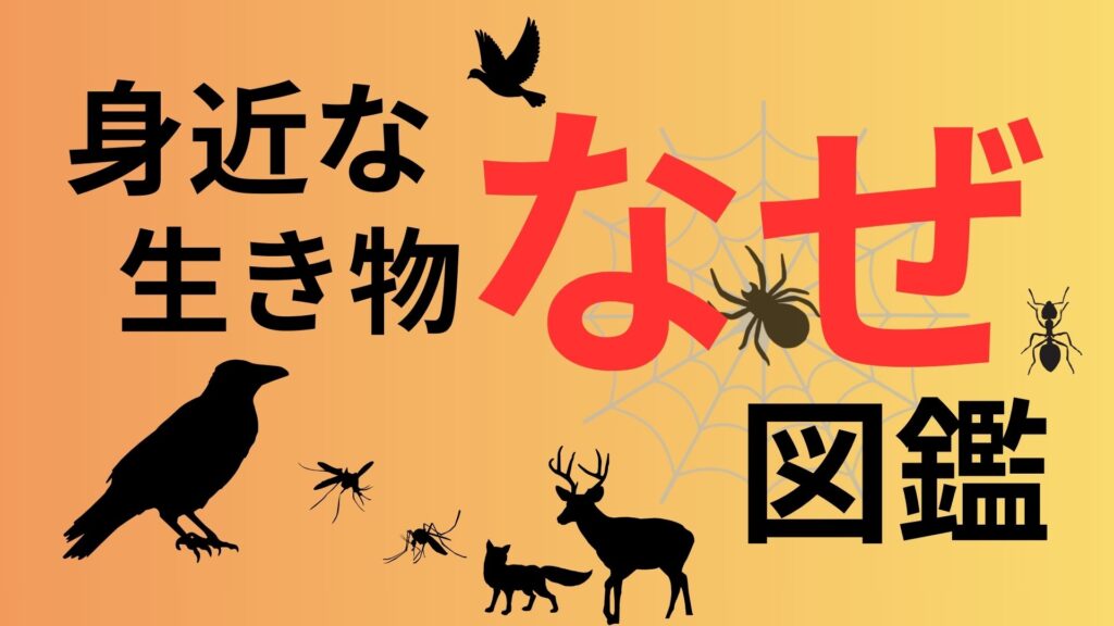 身近な生き物なぜ図鑑