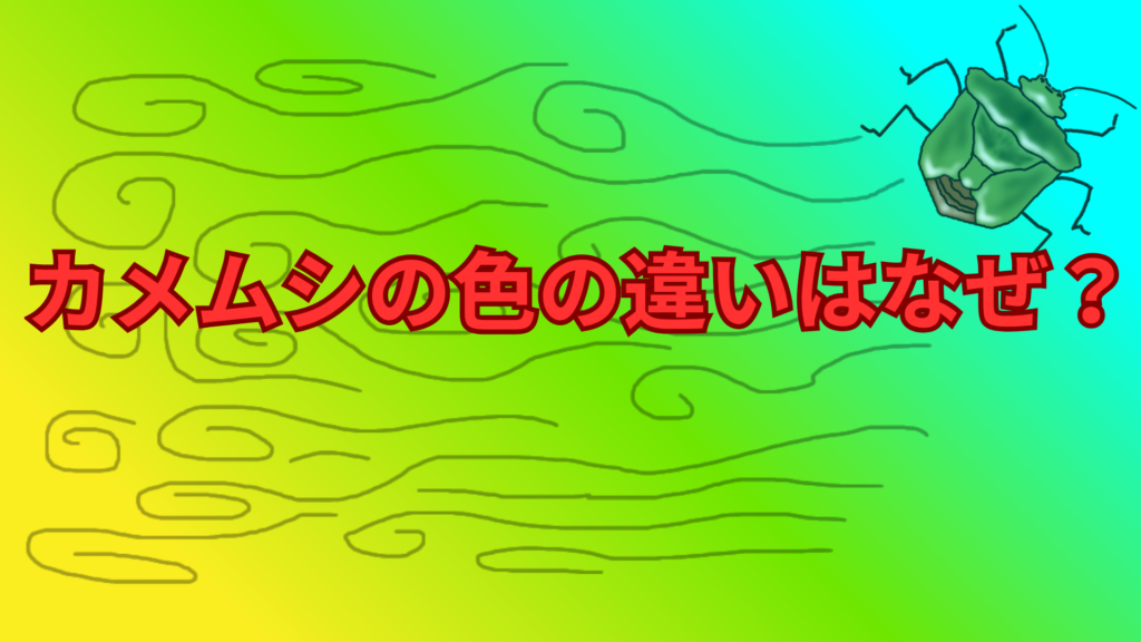 カメムシの色の違いはなぜ？緑・茶色・ピンクの理由や特徴をわかりやすく解説！