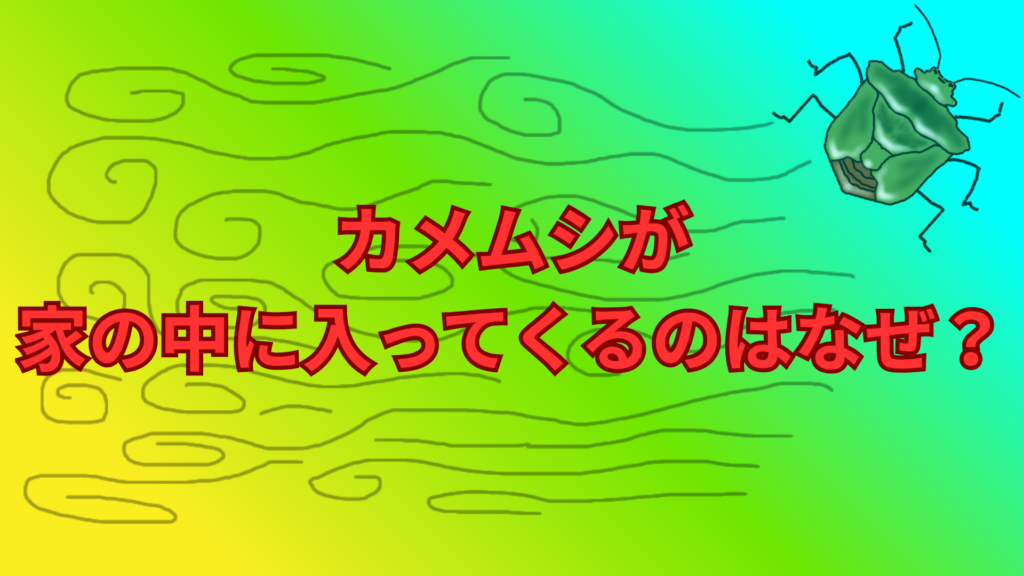 カメムシが家の中に入ってくるのはなぜ？原因と今すぐできる対策をわかりやすく解説！