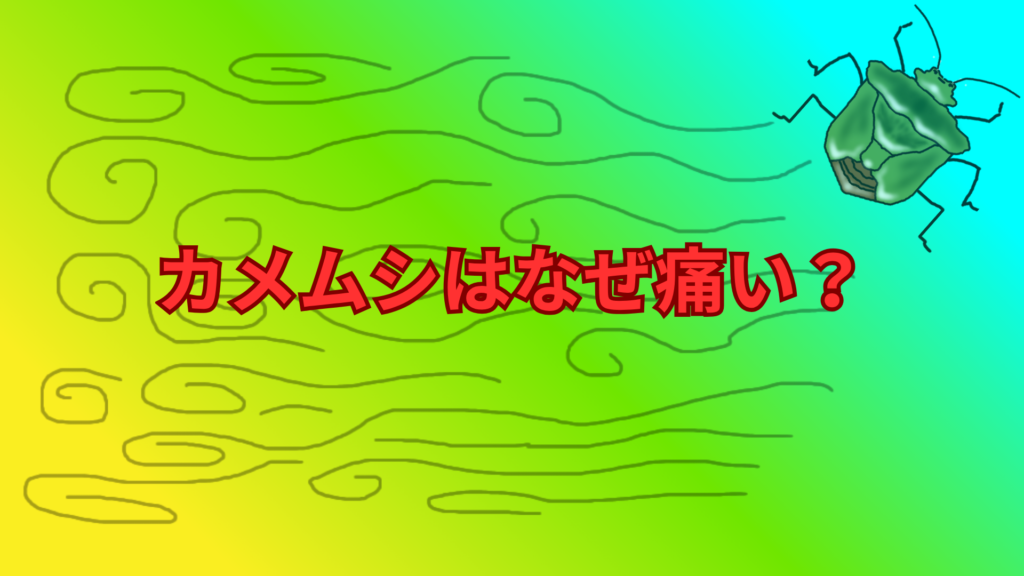カメムシはなぜ痛い？刺されたときの原因と対処法をわかりやすく解説