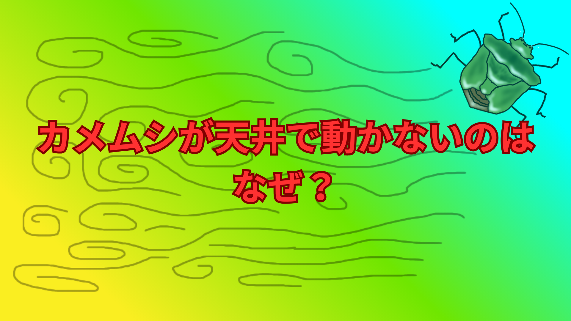カメムシが天井で動かないのはなぜ？じっとしている理由を解説